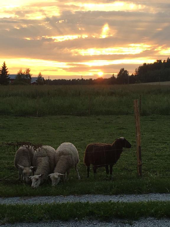 Lomatila Ollila Farm Stay Kerimaki Bagian luar foto